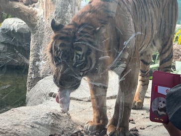 神戸どうぶつ王国に投稿された画像（2024/11/20）