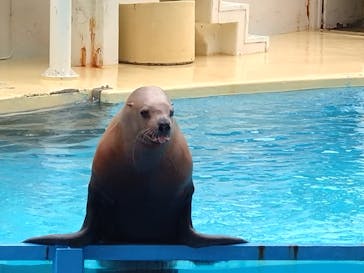 伊豆・三津シーパラダイスに投稿された画像（2024/11/20）