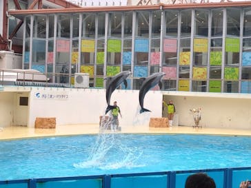 伊豆・三津シーパラダイスに投稿された画像（2024/11/20）