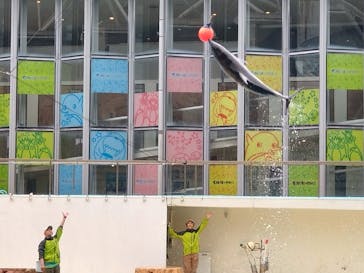 伊豆・三津シーパラダイスに投稿された画像（2024/11/20）