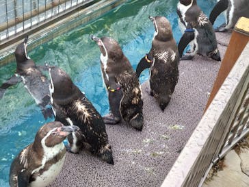 伊豆・三津シーパラダイスに投稿された画像（2024/11/20）