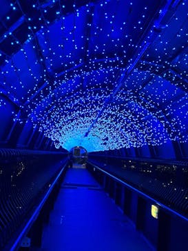 大江戸温泉物語 箕面温泉スパーガーデンに投稿された画像（2024/11/20）