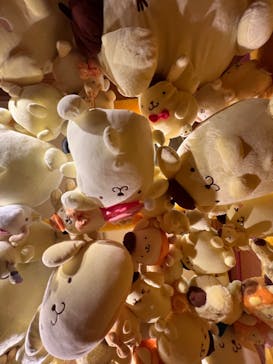 サンリオピューロランドに投稿された画像（2024/11/20）