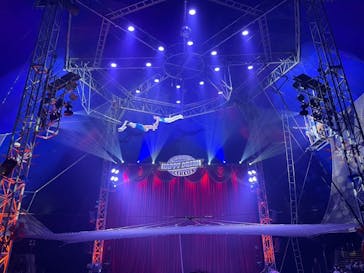 ハッピードリームサーカス湘南・平塚公演に投稿された画像（2024/11/20）