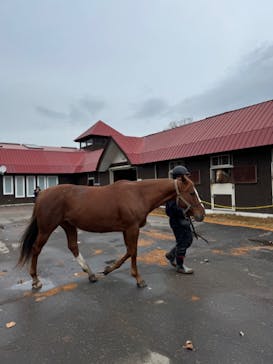 ノーザンホースパークに投稿された画像（2024/11/20）