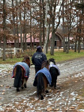 ノーザンホースパークに投稿された画像（2024/11/20）