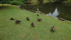 会津松平氏庭園　御薬園に投稿された画像（2024/11/20）
