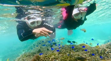 沖縄マリンサービス碧に投稿された画像（2024/11/15）