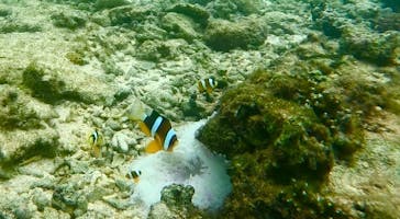 沖縄マリンサービス碧に投稿された画像（2024/11/15）