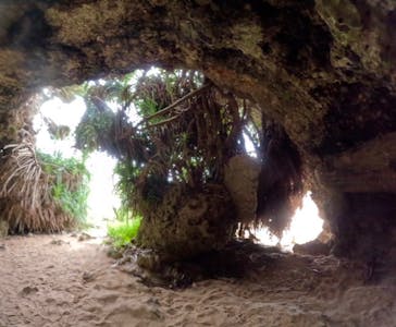 沖縄マリンサービス碧に投稿された画像（2024/11/15）