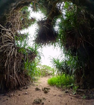 沖縄マリンサービス碧に投稿された画像（2024/11/15）