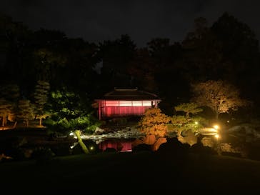 NAKED meets 二条城 2025 観月に投稿された画像（2024/11/20）