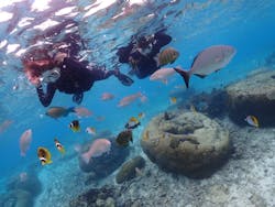 マリンレジャーハイサイドに投稿された画像（2024/11/20）