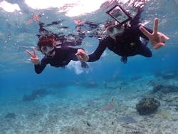 マリンレジャーハイサイドに投稿された画像（2024/11/20）