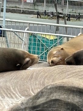 名古屋市東山動植物園に投稿された画像（2024/11/20）