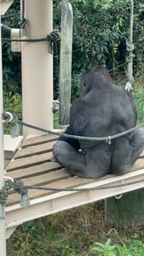 名古屋市東山動植物園に投稿された画像（2024/11/20）