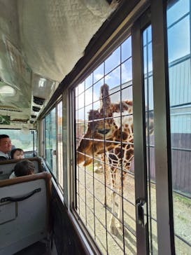 那須サファリパークに投稿された画像（2024/11/21）