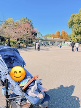 恩賜上野動物園に投稿された画像（2024/11/21）