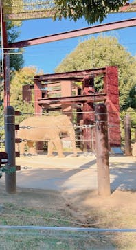 恩賜上野動物園に投稿された画像（2024/11/21）