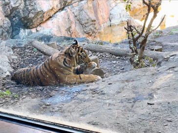 恩賜上野動物園に投稿された画像（2024/11/21）