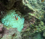 武藤潜水に投稿された画像（2024/11/21）