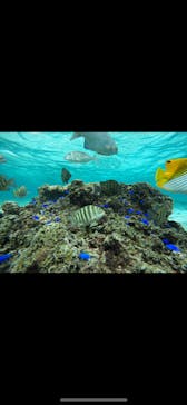 武藤潜水に投稿された画像（2024/11/21）