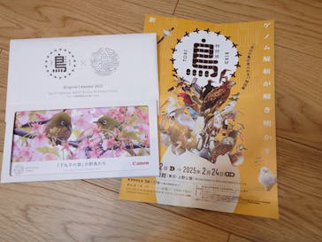 特別展「鳥 ～ゲノム解析が解き明かす新しい鳥類の系統～」国立科学博物館に投稿された画像（2024/11/21）