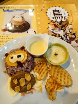 特別展「鳥 ～ゲノム解析が解き明かす新しい鳥類の系統～」国立科学博物館に投稿された画像（2024/11/21）