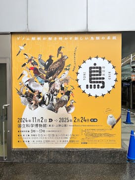 特別展「鳥 ～ゲノム解析が解き明かす新しい鳥類の系統～」国立科学博物館に投稿された画像（2024/11/21）