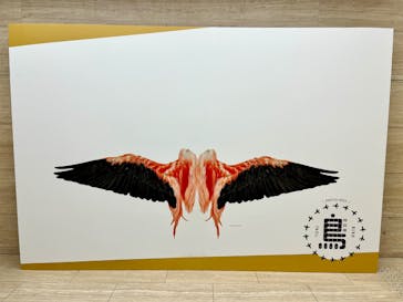 特別展「鳥 ～ゲノム解析が解き明かす新しい鳥類の系統～」国立科学博物館に投稿された画像（2024/11/21）