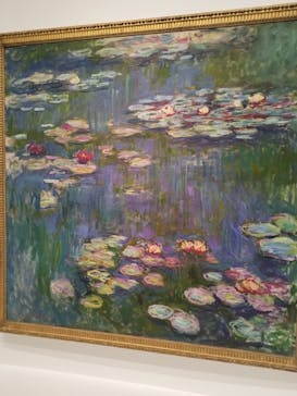 モネ 睡蓮のとき（国立西洋美術館）に投稿された画像（2024/11/21）