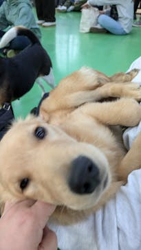 つくばわんわんランドに投稿された画像（2024/11/21）