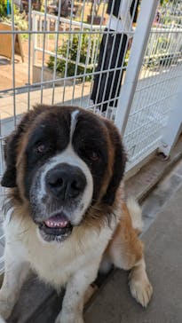 つくばわんわんランドに投稿された画像（2024/11/21）