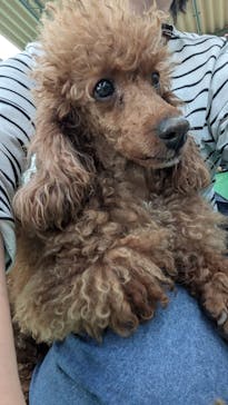 つくばわんわんランドに投稿された画像（2024/11/21）