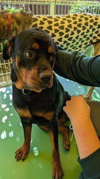 つくばわんわんランドに投稿された画像（2024/11/21）