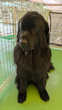 つくばわんわんランドに投稿された画像（2024/11/21）