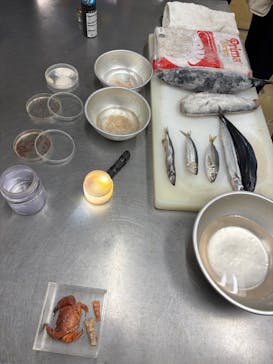 しながわ水族館に投稿された画像（2024/11/21）