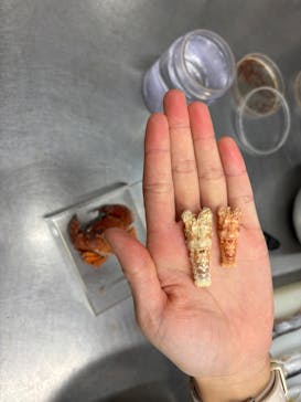 しながわ水族館に投稿された画像（2024/11/21）