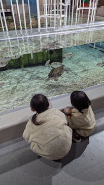 NIFREL（ニフレル）に投稿された画像（2024/11/21）