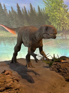 福井県立恐竜博物館に投稿された画像（2024/11/21）