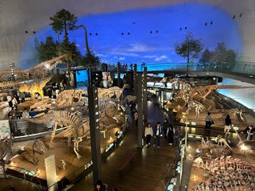 福井県立恐竜博物館に投稿された画像（2024/11/21）