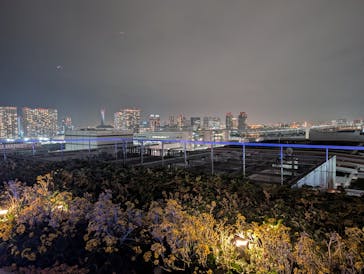 東京豊洲 万葉倶楽部に投稿された画像（2024/11/21）