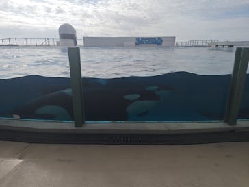 鴨川シーワールドに投稿された画像（2024/11/21）