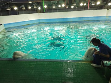 鴨川シーワールドに投稿された画像（2024/11/21）