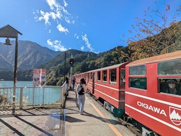 大井川鐵道株式会社に投稿された画像（2024/11/21）