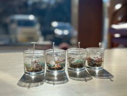 海島遊民くらぶに投稿された画像（2024/11/21）