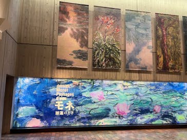 モネ 睡蓮のとき（国立西洋美術館）に投稿された画像（2024/11/21）