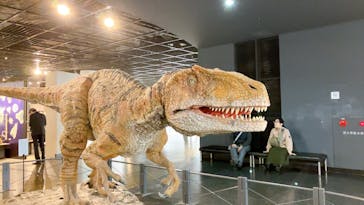 福井県立恐竜博物館に投稿された画像（2024/11/21）