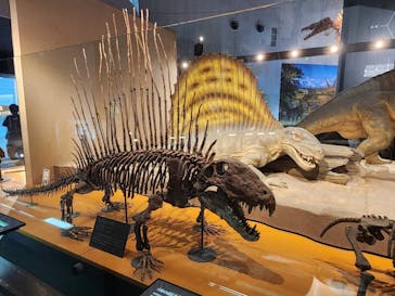福井県立恐竜博物館に投稿された画像（2024/11/21）