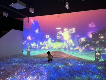 リトルプラネット ららぽーと沼津に投稿された画像（2024/11/21）